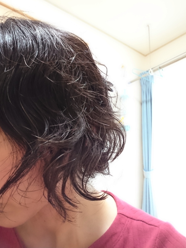 パーマは細かく強めに かけてもらった f:id:sa_to_e:20190726184632j:plain