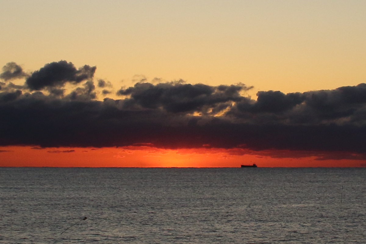 f:id:sa_to_e:20200112164645j:plain