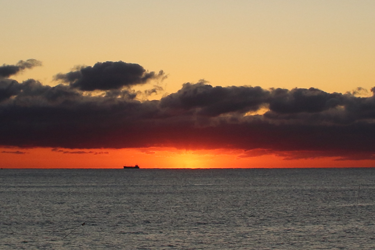 f:id:sa_to_e:20200112164652j:plain