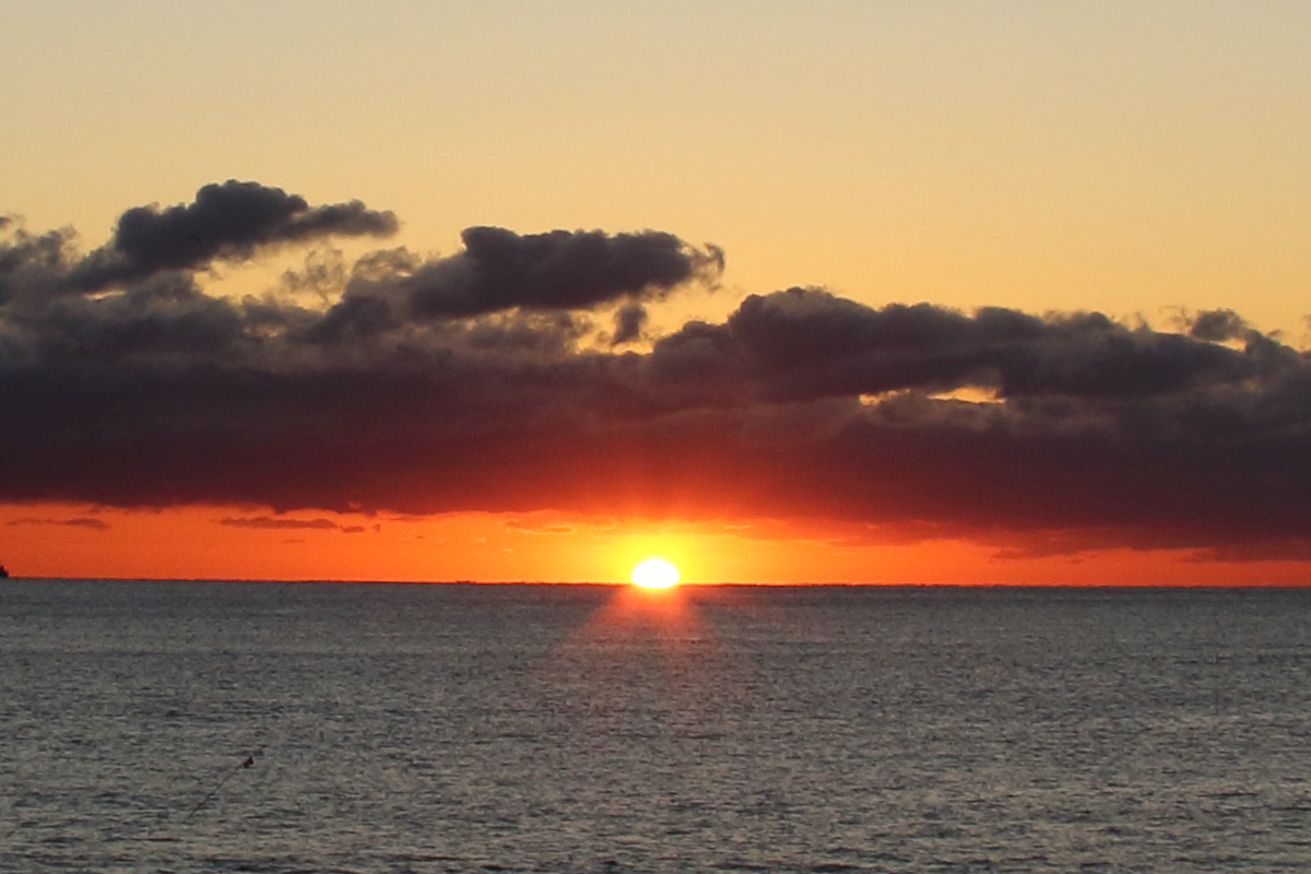 f:id:sa_to_e:20200112164708j:plain