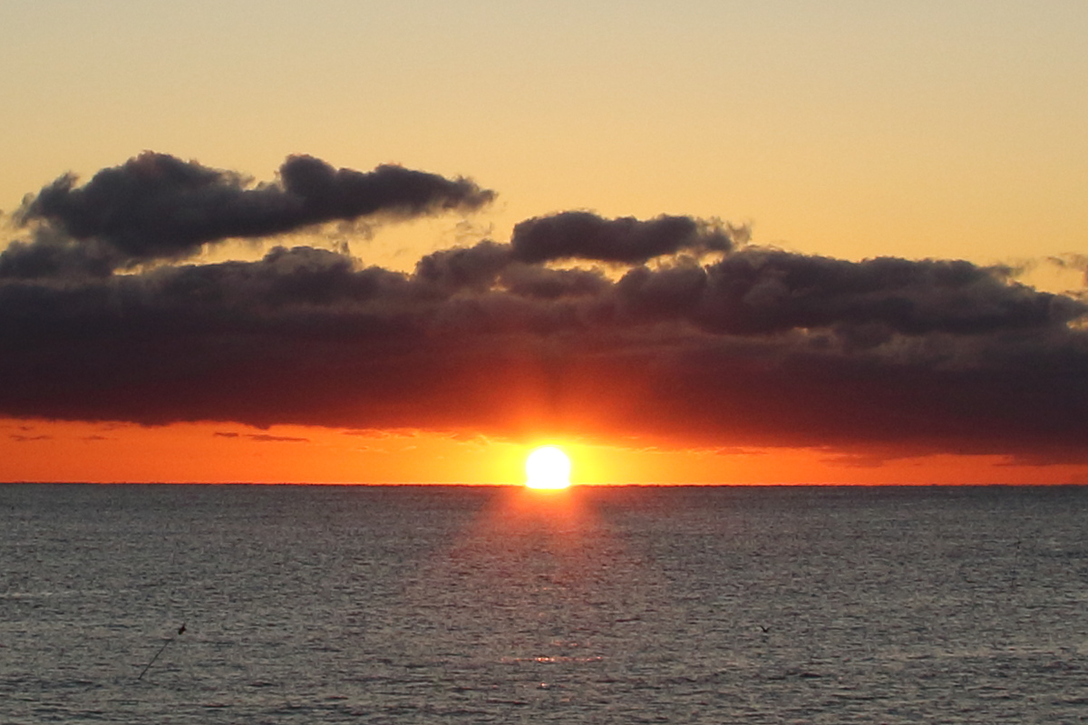 f:id:sa_to_e:20200112164719j:plain