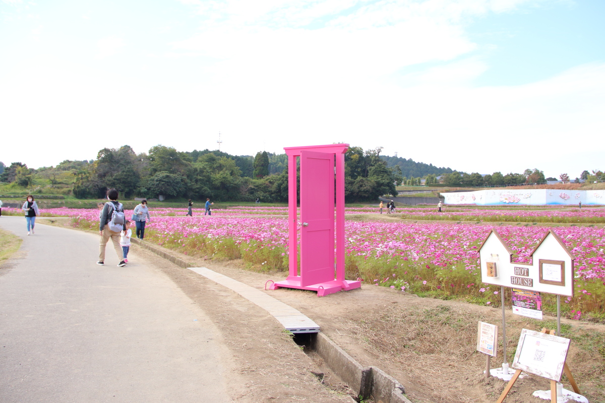 f:id:sa_to_e:20201108154411j:plain