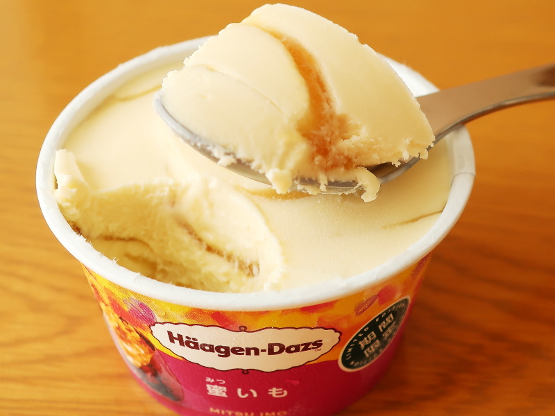 f:id:sa_to_e:20201201173009j:plain