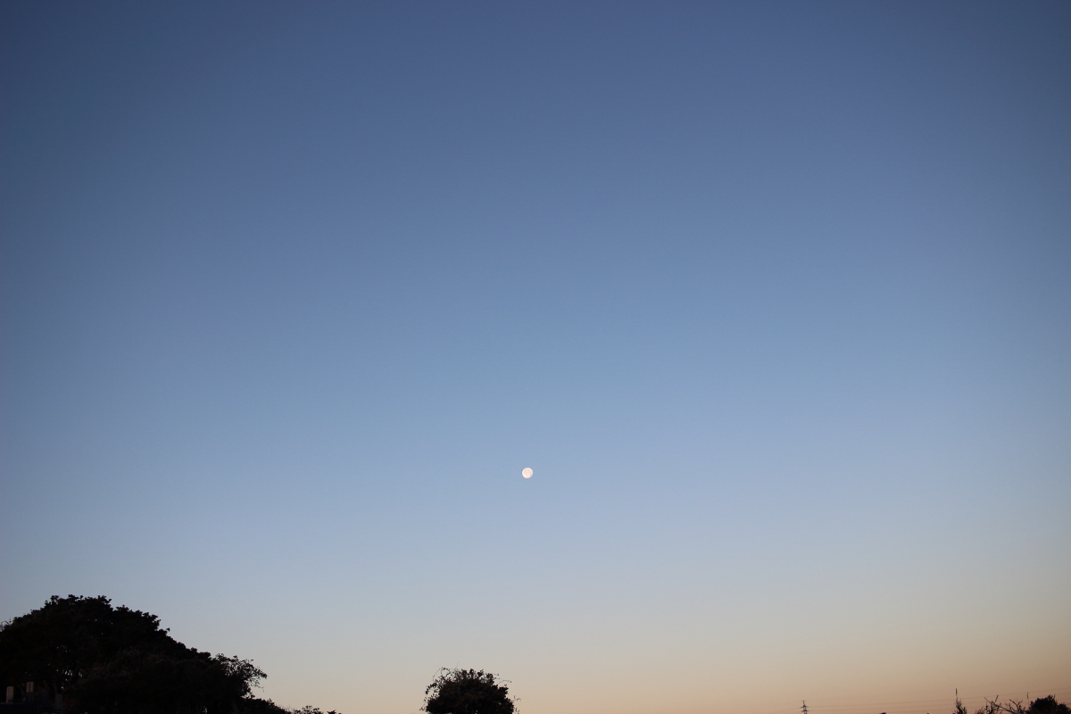 f:id:sa_to_e:20210118172424j:plain