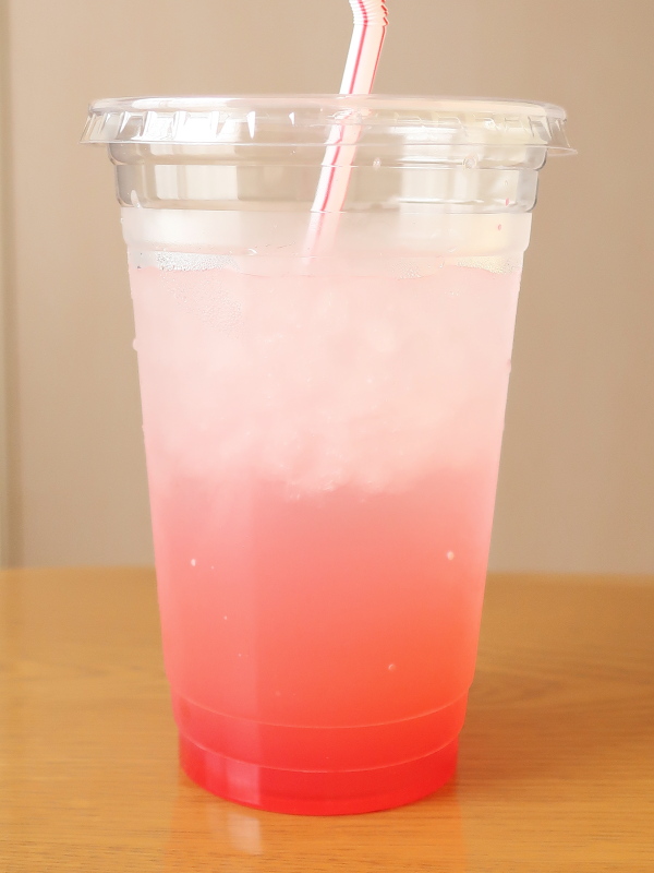 f:id:sa_to_e:20210824172946j:plain