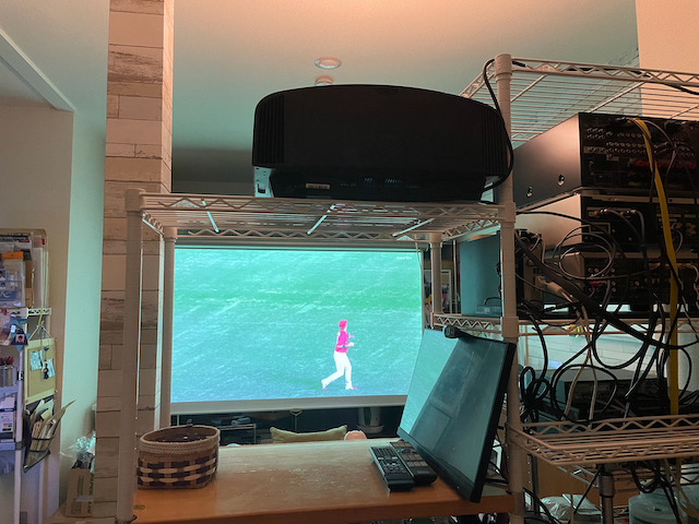 f:id:sa_to_ru13:20210610200506j:plain