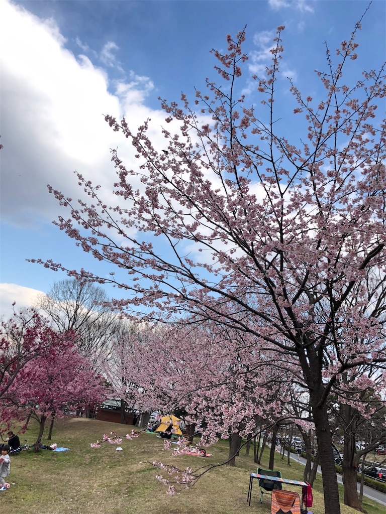 f:id:saaaa0513:20190319093220j:image