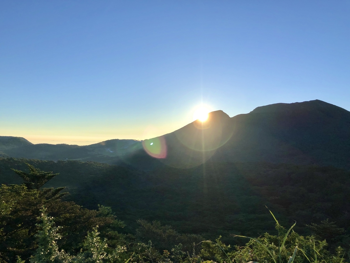 f:id:saaaaatommy:20200820144702j:plain