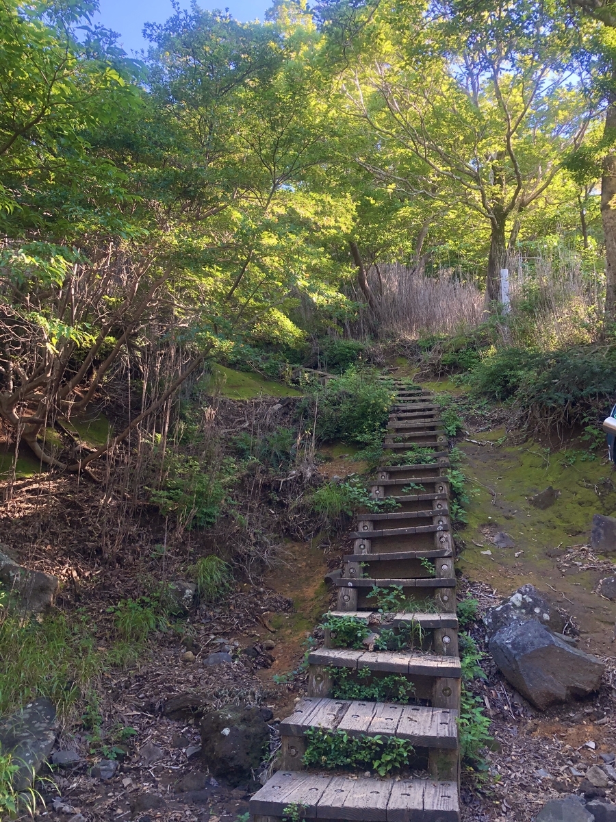 f:id:saaaaatommy:20200820151651j:plain