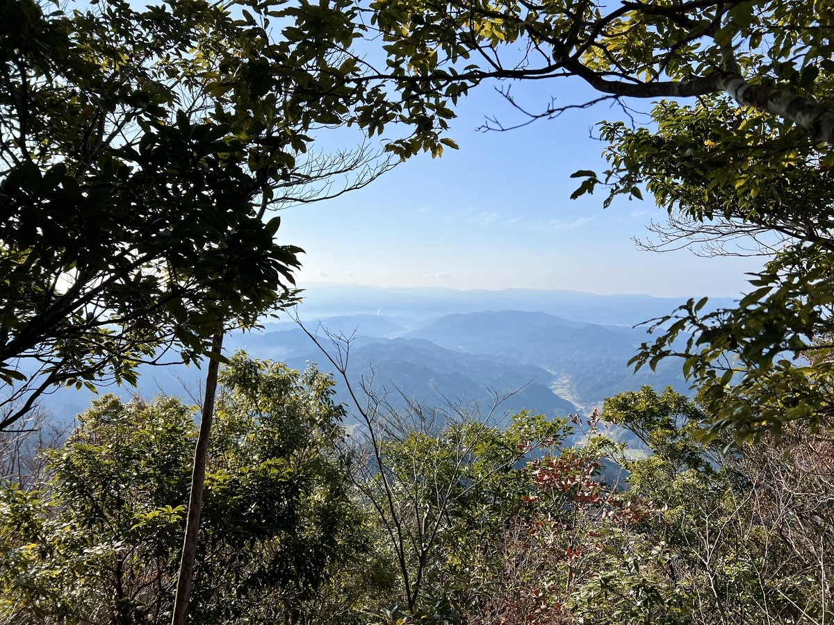 f:id:saaaaatommy:20211231104123j:plain