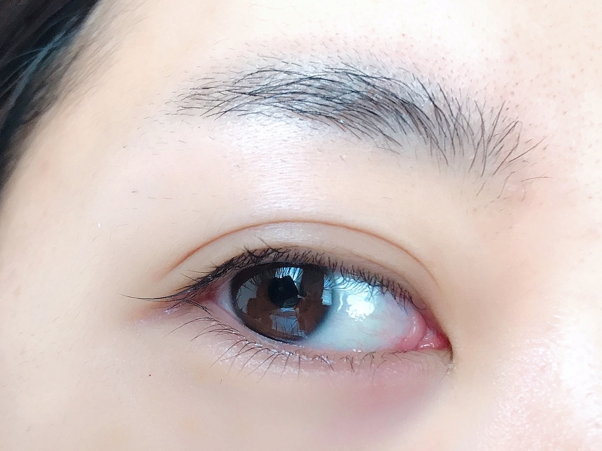f:id:saaalz:20190316102925j:plain f:id:saaalz:20190316102925j:plain