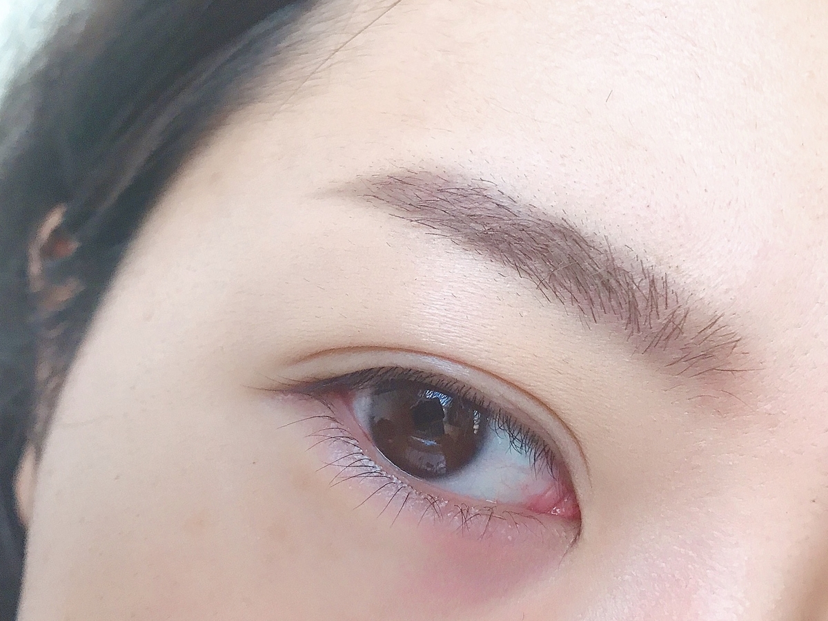 f:id:saaalz:20190316102938j:plain f:id:saaalz:20190316102938j:plain