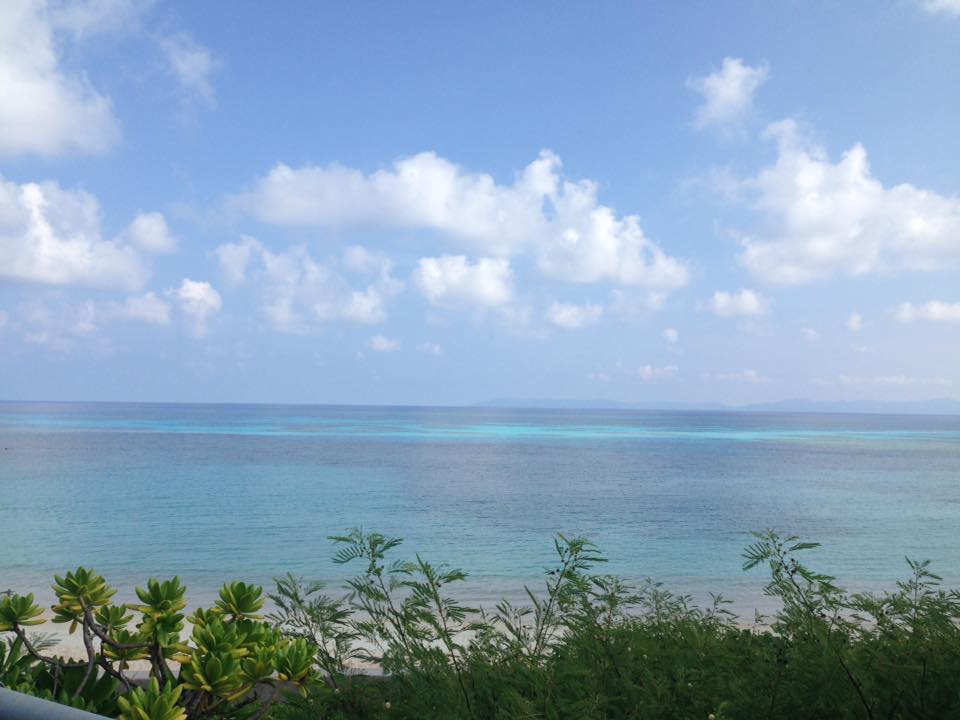 f:id:saayanoblog:20170506144823j:plain f:id:saayanoblog:20170506144823j:plain