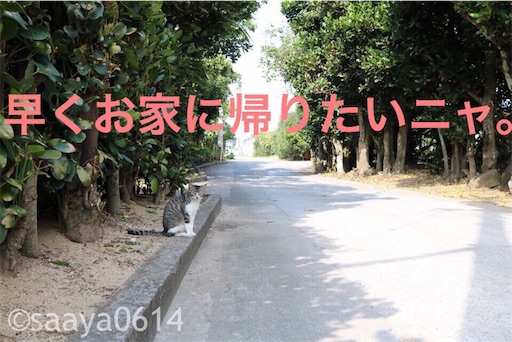 f:id:saayanoblog:20170703203352j:image f:id:saayanoblog:20170703203352j:image