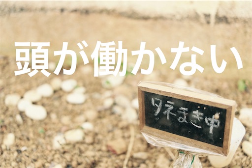 f:id:saayanoblog:20170724230918j:image f:id:saayanoblog:20170724230918j:image