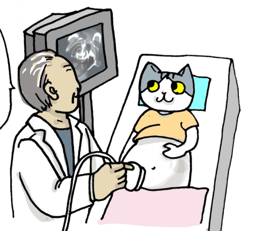 f:id:saba-neko:20200904184018j:plain:w460