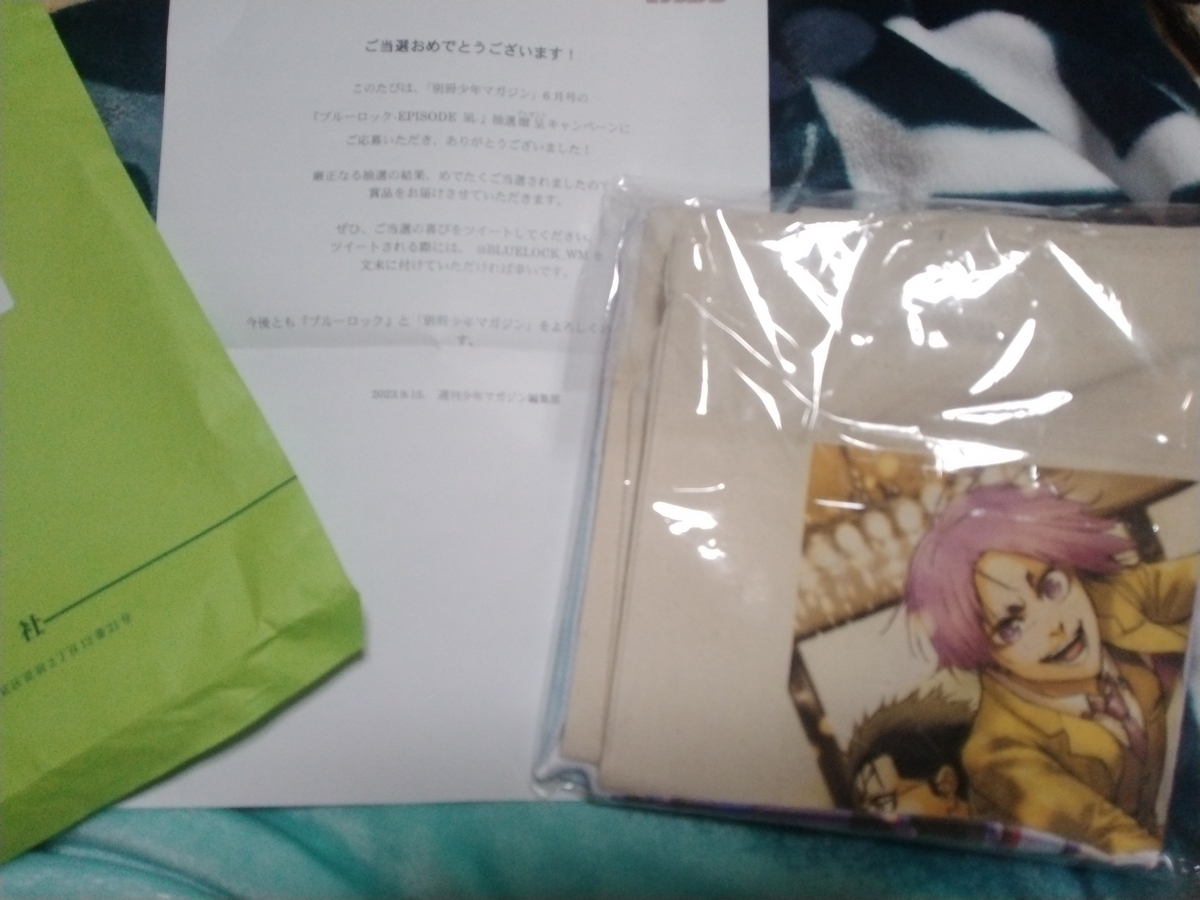 ヤマサ モンキーターンV 新女王パネルver 特製タオル 懸賞】ヤマサ