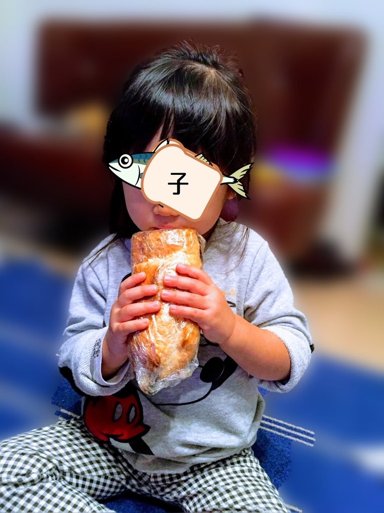f:id:saba_sand:20190119033328j:plain