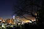 f:id:sabaku_m:20080226182023j:image