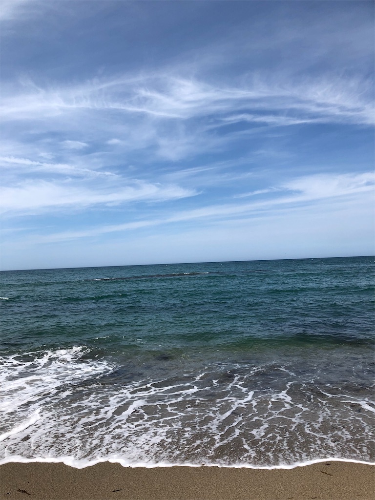 f:id:sabamisou:20190712233408j:image