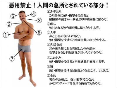 f:id:sabanonuigurumi:20180826220257p:plain f:id:sabanonuigurumi:20180826220257p:plain