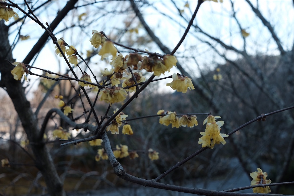 f:id:sabbath_045:20190207014418j:image f:id:sabbath_045:20190207014418j:image