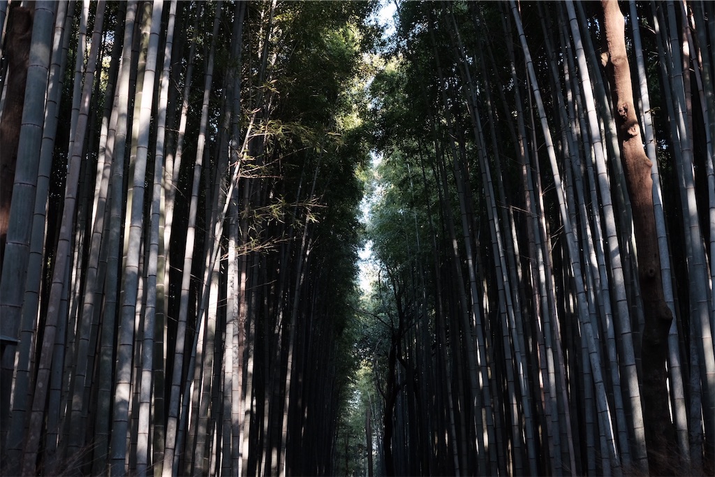 f:id:sabbath_045:20190207015625j:image f:id:sabbath_045:20190207015625j:image
