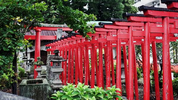 西那須野 雨に濡れたスウィートメモリーズ18 わき道にそれて純喫茶2
