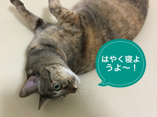 f:id:sabineko325:20170131232119j:plain