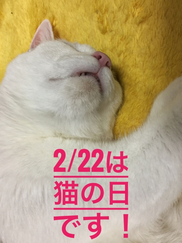 f:id:sabineko325:20170221230229j:plain