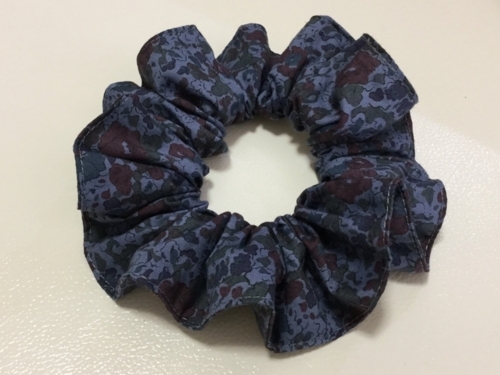 f:id:sabineko325:20170604162107j:plain