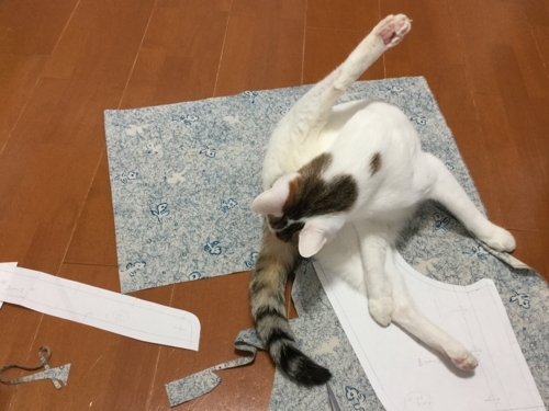 f:id:sabineko325:20171113000948j:plain