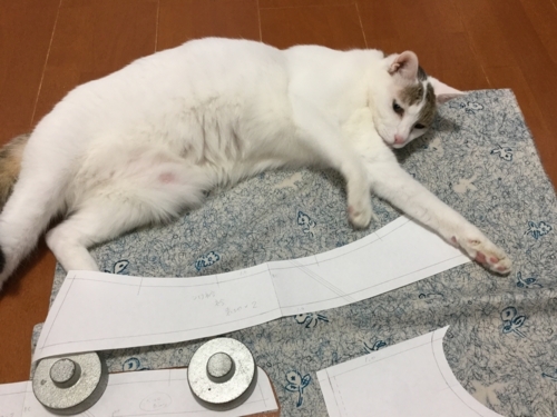 f:id:sabineko325:20171113001000j:plain