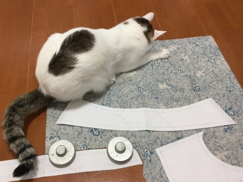 f:id:sabineko325:20171113001016j:plain