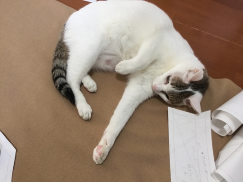 f:id:sabineko325:20171210175319j:plain f:id:sabineko325:20171210175319j:plain