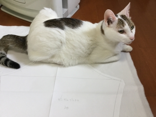 f:id:sabineko325:20180503202628j:plain