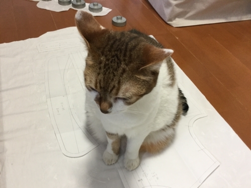 f:id:sabineko325:20180503202639j:plain