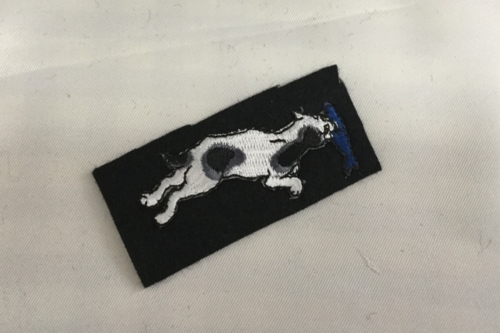 f:id:sabineko325:20180518205503j:plain