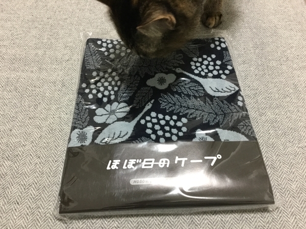 f:id:sabineko325:20180923072024j:plain