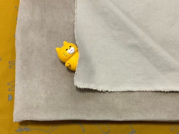 f:id:sabineko325:20220227202432j:plain