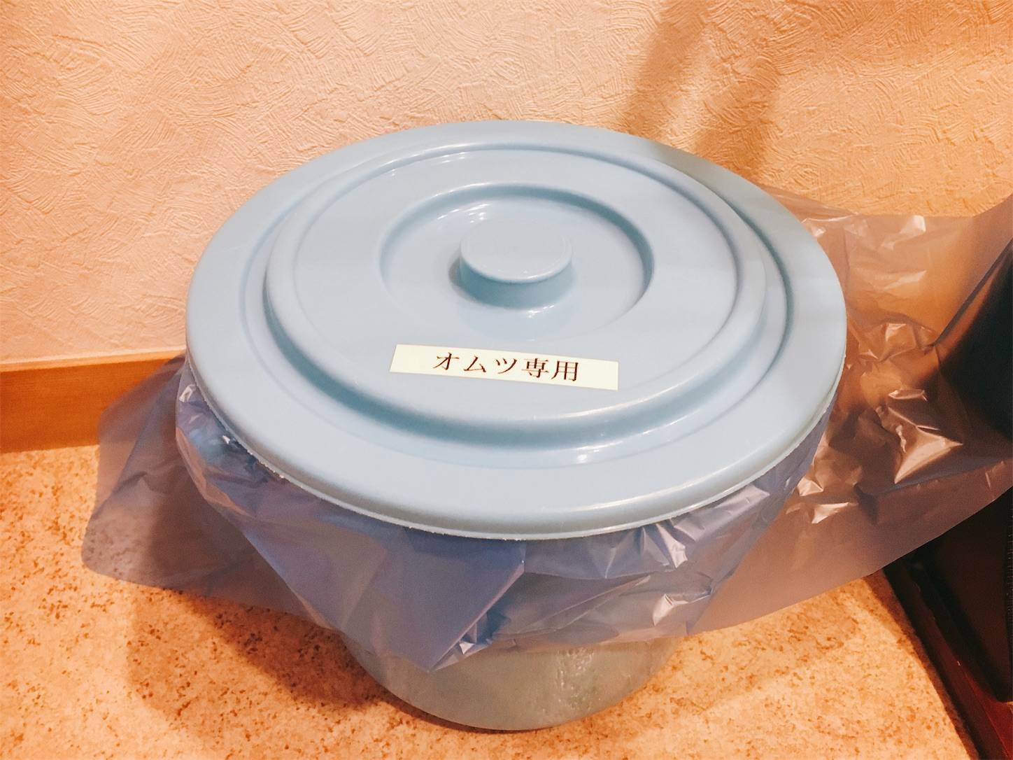 f:id:sabo-san:20190821211207j:plain f:id:sabo-san:20190821211207j:plain