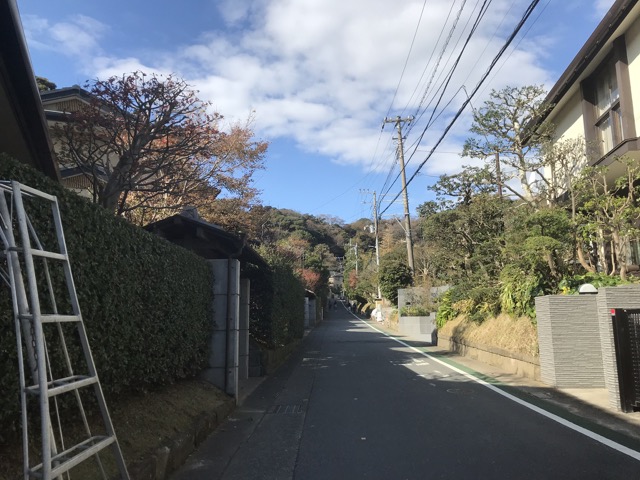 f:id:sabotennmegane:20181207133318j:plain