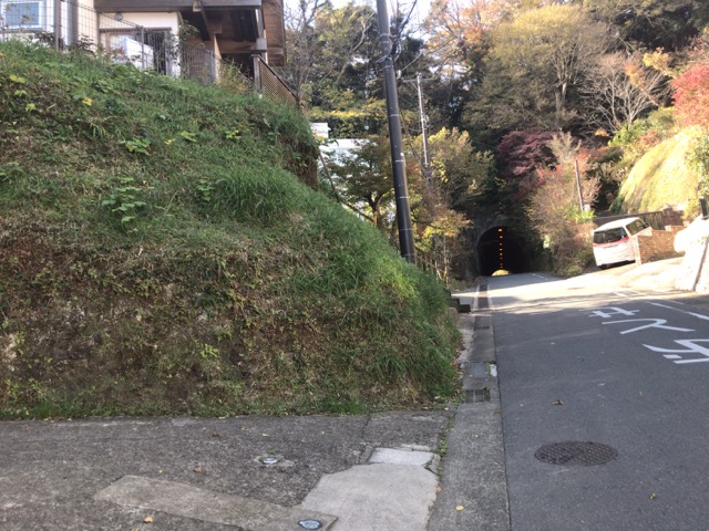 f:id:sabotennmegane:20181207133431j:plain