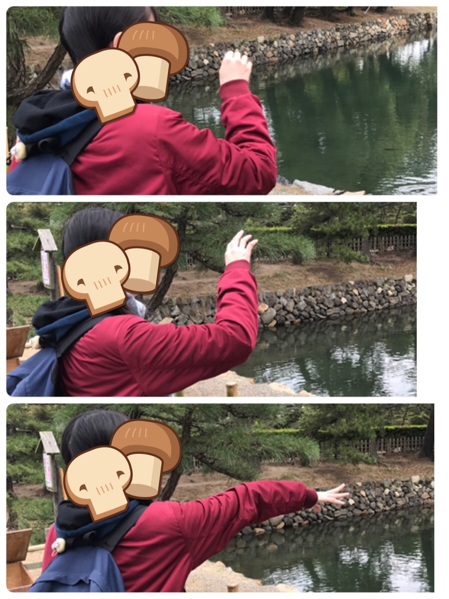 f:id:sabotensister:20190513210326j:plain f:id:sabotensister:20190513210326j:plain