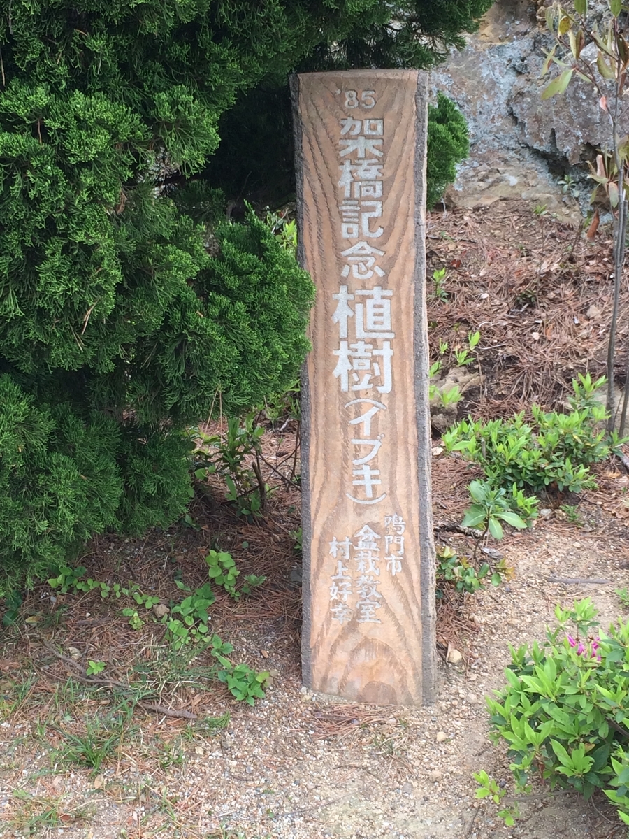 f:id:sabotensister:20190515205304j:plain f:id:sabotensister:20190515205304j:plain