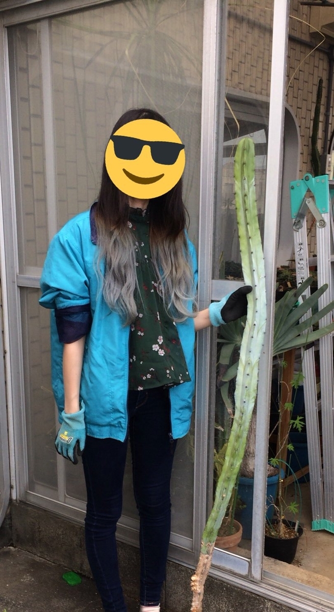 f:id:sabotensister:20190610214732j:plain f:id:sabotensister:20190610214732j:plain