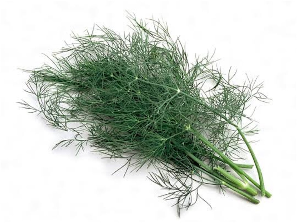 f:id:sabu10hs:20190111001756j:image