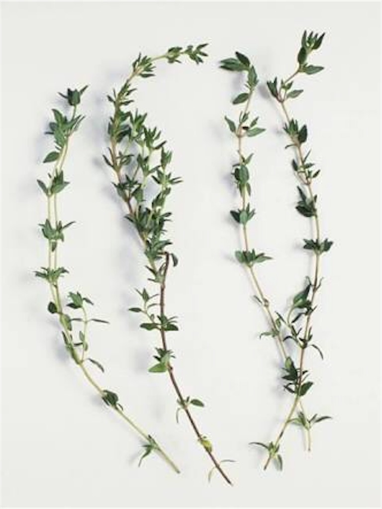 f:id:sabu10hs:20190111001901j:image