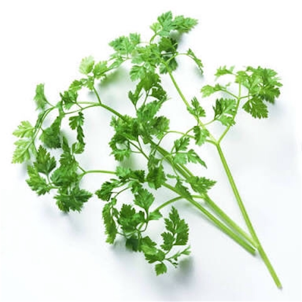 f:id:sabu10hs:20190111121250j:image