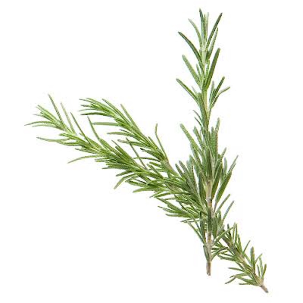 f:id:sabu10hs:20190111123315j:image